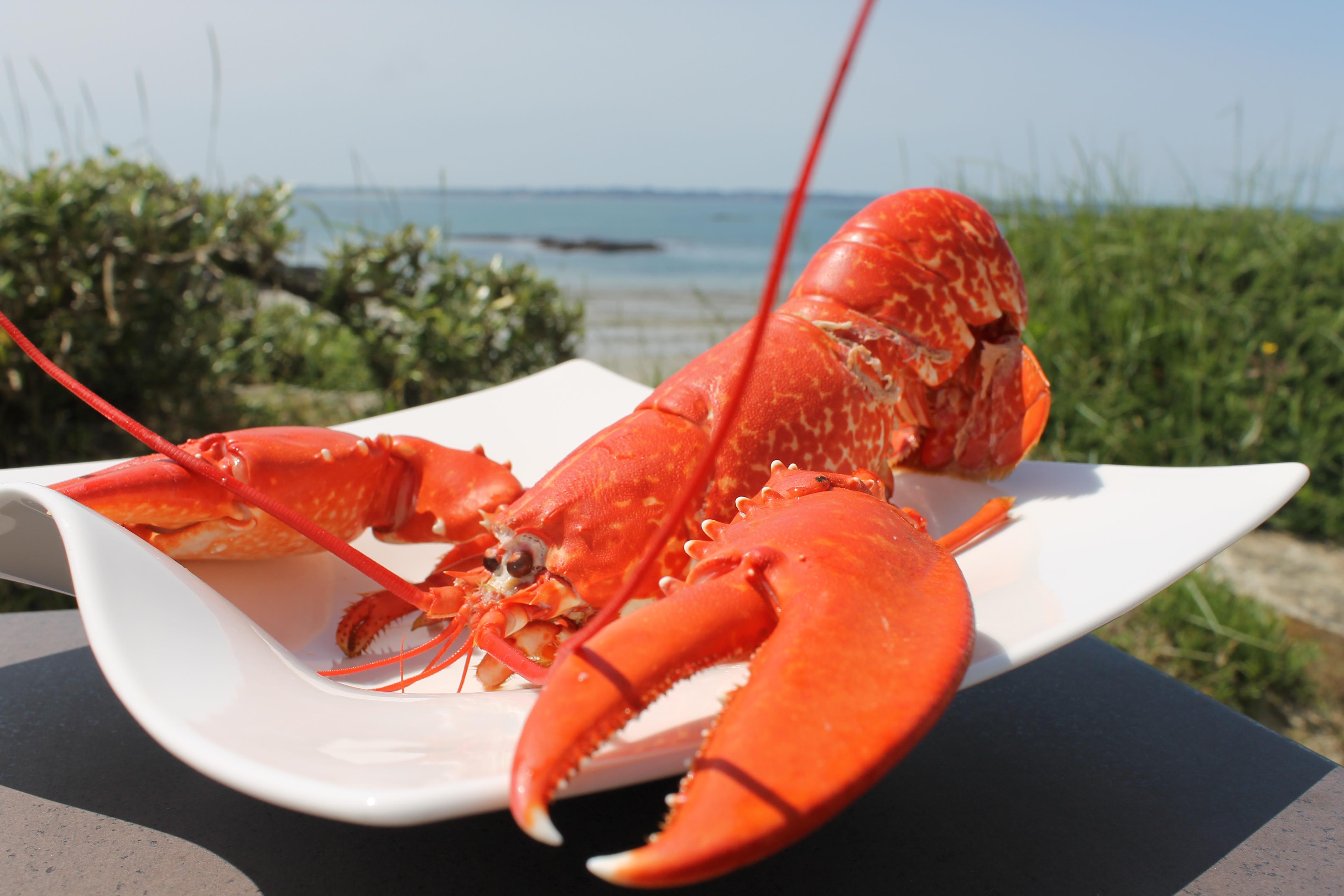Logis Hotel & Restaurant Les Mouettes - Larmor Plage, Proche De Lorient Exterior photo